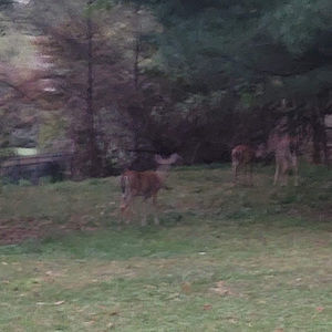 Meet your Posher, Jun hyeok